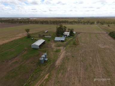 Farm Sold - QLD - Dalby - 4405 - 183 ACRES 6KM FROM DALBY WITH GOOD IMPROVEMENTS - GREAT LIFESTYLE WITH POTENTIAL INCOME  (Image 2)