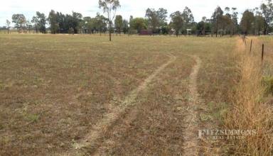 Farm Sold - QLD - Dalby - 4405 - 1.1 HECTARES (2.7ACRE) ALLOTMENT IN TOWN  (Image 2)