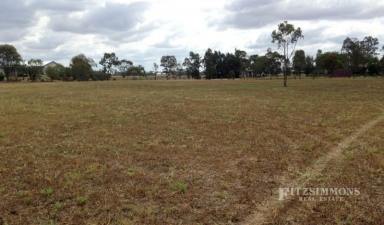 Farm Sold - QLD - Dalby - 4405 - 1.1 HECTARES (2.7ACRE) ALLOTMENT IN TOWN  (Image 2)