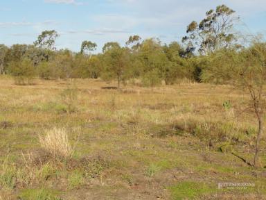 Farm Sold - QLD - Dalby - 4405 - 40 ACRES - EDGE OF DALBY  (Image 2)