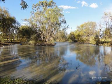 Farm Sold - QLD - Dalby - 4405 - 40 ACRES - EDGE OF DALBY  (Image 2)