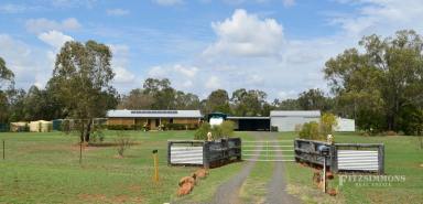 Farm Sold - QLD - Dalby - 4405 - COLKERRI ESTATE FOR UNDER $400,000  (Image 2)