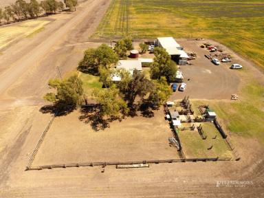 Farm Sold - QLD - Dalby - 4405 - 117 ACRES - BUNYA MOUNTAIN VEIWS - MINUTES TO DALBY CENTRAL  (Image 2)