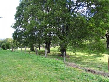 Farm Sold - VIC - Beech Forest - 3237 - Unlimited potential in Beech Forest  (Image 2)