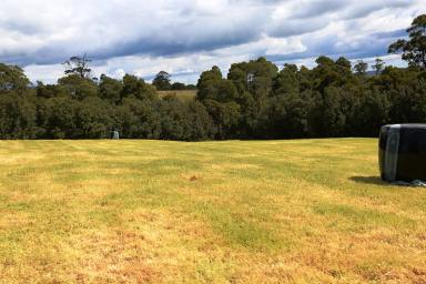 Farm Sold - TAS - Smithton - 7330 - 3 Acre Building Block Just 5 Mins From Town  (Image 2)