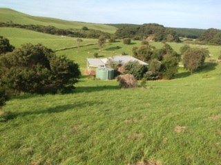 Farm Sold - VIC - Cape Bridgewater - 3305 - Views From Every Angle  (Image 2)