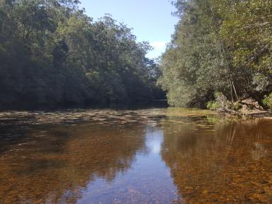 Farm Sold - NSW - Brooman - 2538 - TUMBLEBAR FARM .... Lot 2                    
164 Acres ... Absolute Clyde River Frontage.  (Image 2)