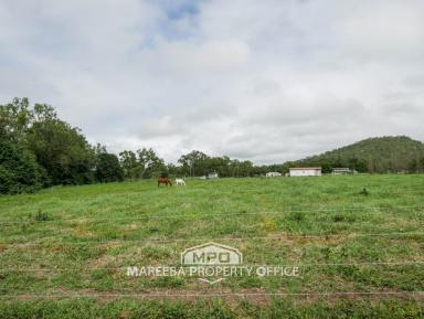Farm Sold - QLD - Mareeba - 4880 - YEARNING FOR A COUNTRY LIFE?   (Image 2)