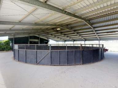 Farm Sold - QLD - Rifle Range - 4311 - Bang for Buck HORSE HEAVEN  (Image 2)