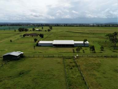 Farm Sold - QLD - Rifle Range - 4311 - Bang for Buck HORSE HEAVEN  (Image 2)