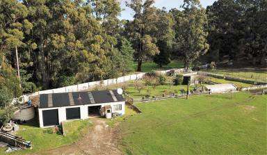 Farm Sold - TAS - Moorleah - 7325 - Relax by the river  (Image 2)