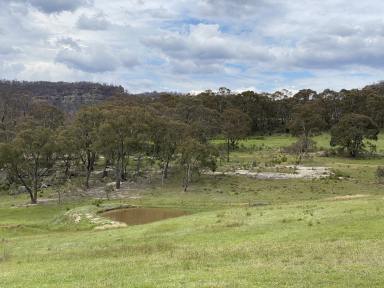Farm For Sale - NSW - Lidsdale - 2790 - Investment Potential.  (Image 2)