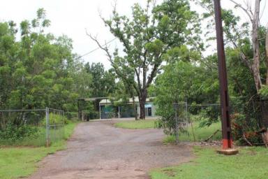 Farm Sold - NT - Batchelor - 0845 - Investment Business Opportunity  (Image 2)
