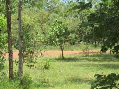 Farm Sold - NT - Adelaide River - 0846 - 58 Acres of blissful living!!  (Image 2)