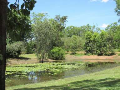 Farm Sold - NT - Adelaide River - 0846 - 58 Acres of blissful living!!  (Image 2)