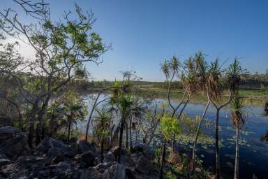 Farm Sold - NT - Darwin River - 0841 - 320 Acres awaiting a new owner!  (Image 2)