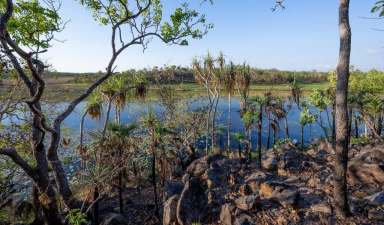 Farm Sold - NT - Darwin River - 0841 - 320 Acres awaiting a new owner!  (Image 2)