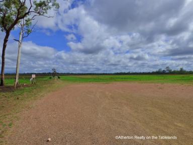 Farm Sold - QLD - Mareeba - 4880 - QUALITY AGRICULTURAL LAND  (Image 2)