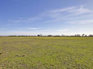 Farm Sold - VIC - Cobains - 3851 - 256 ACRES -
IRRIGATION LAND  (Image 2)