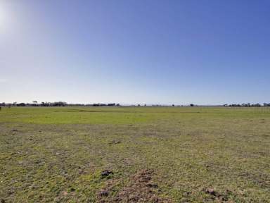 Farm Sold - VIC - Cobains - 3851 - 256 ACRES -
IRRIGATION LAND  (Image 2)