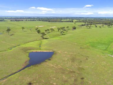 Farm Sold - VIC - Stratford - 3862 - 510 ACRE TURNOUT PADDOCK  (Image 2)
