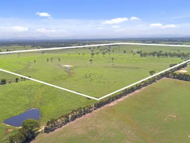 Farm Sold - VIC - Stratford - 3862 - 510 ACRE TURNOUT PADDOCK  (Image 2)