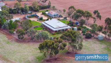Farm Sold - VIC - Horsham - 3400 - TRANQUIL COUNTRY ESCAPE!  (Image 2)