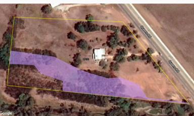 Farm Sold - QLD - Bowen - 4805 - 5 ACRES IN TOWN!  (Image 2)