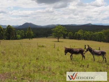 Farm Sold - NSW - Temagog - 2440 - A Great Escape  (Image 2)