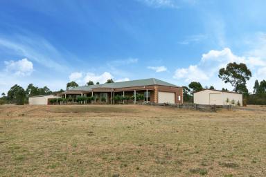 Farm Sold - VIC - Eppalock - 3551 - Stunning Views And Quality Country Family Living  (Image 2)