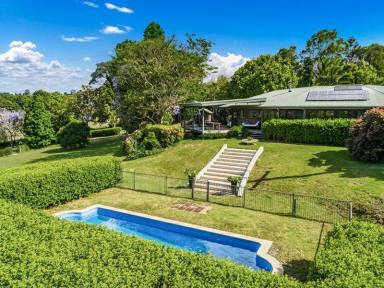 Farm Sold - NSW - Eltham - 2480 - Stunning Family Home On 65 acres  (Image 2)
