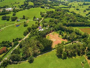 Farm Sold - NSW - Bangalow - 2479 - Prime Bangalow Acres - Position and Potential Plus  (Image 2)