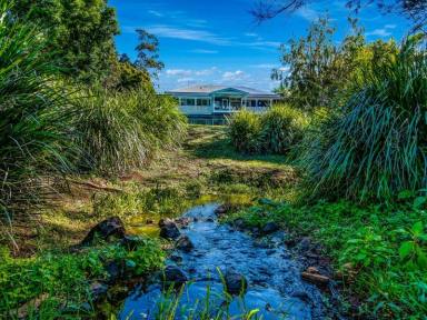 Farm Sold - NSW - Bangalow - 2479 - Bangalow Private Paradise, Prestige Residence.  (Image 2)