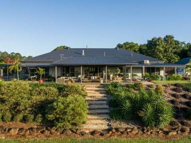 Farm Sold - NSW - Eltham - 2480 - Prestige Hinterland Homestead - Lifestyle Choice  (Image 2)