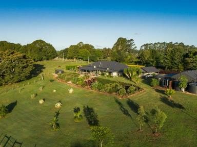 Farm Sold - NSW - Eltham - 2480 - Prestige Hinterland Homestead - Lifestyle Choice  (Image 2)