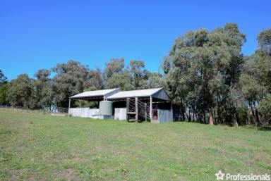 Farm Sold - VIC - Yellingbo - 3139 - Yarra Ranges Views on 60 Acres (approx)  (Image 2)