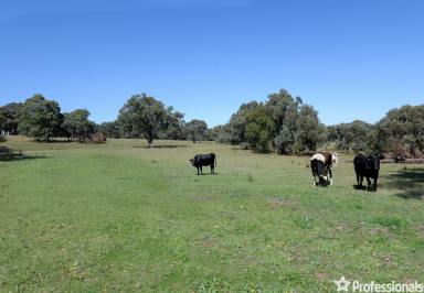 Farm Sold - VIC - Yellingbo - 3139 - Yarra Ranges Views on 60 Acres (approx)  (Image 2)