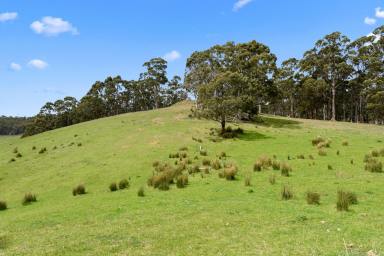 Farm Sold - TAS - Nubeena - 7184 - Ultimate lifestyle block to create your dream life on the Tasman!  (Image 2)