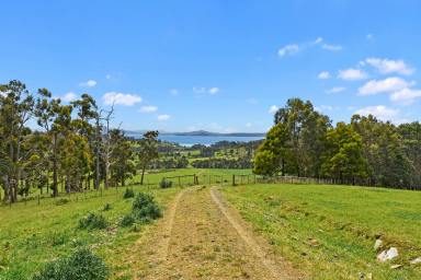 Farm Sold - TAS - Nubeena - 7184 - Ultimate lifestyle block to create your dream life on the Tasman!  (Image 2)