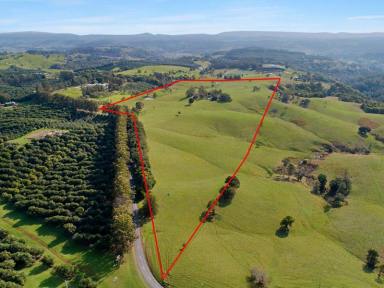 Farm Sold - NSW - Dunoon - 2480 - Introducing 'Pleasant View' Dunoon  (Image 2)