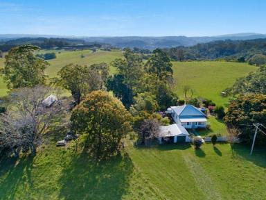 Farm Sold - NSW - Dunoon - 2480 - Introducing 'Pleasant View' Dunoon  (Image 2)