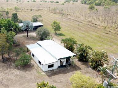 Farm Sold - QLD - Kennedy - 4816 - RURAL LIFESTYLE OPPORTUNITY  (Image 2)