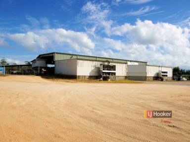 Farm For Sale - QLD - Munro Plains - 4854 - COMMERCIAL INVESTMENT OPPORTUNITY  (Image 2)