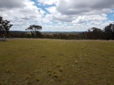 Farm Sold - QLD - Glenlyon - 4380 - 55 ACRES FOR $130,000  (Image 2)