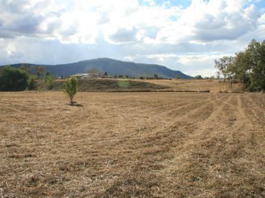 Farm Sold - QLD - Maryvale - 4370 - URGENT SALE REQUIRED  (Image 2)