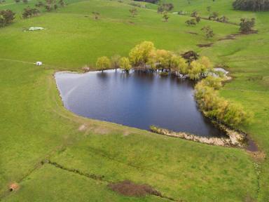 Farm Sold - VIC - Jancourt East - 3266 - Strong Outpaddock/Runoff Block  (Image 2)