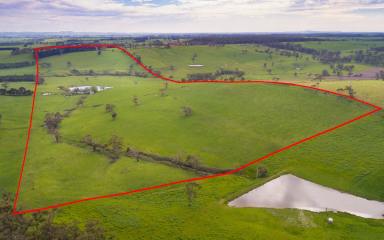 Farm Sold - VIC - Jancourt East - 3266 - Strong Outpaddock/Runoff Block  (Image 2)