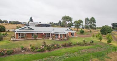 Farm Sold - VIC - Terang - 3264 - Outstanding Presentation  -  Superbly Situated   -  Versatile Lifestyle Property  (Image 2)