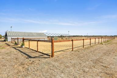 Farm Sold - SA - Aldinga Beach - 5173 - 10 Acres of Equestrian Excellence  (Image 2)