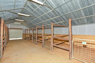 Farm Sold - SA - Aldinga Beach - 5173 - 10 Acres of Equestrian Excellence  (Image 2)